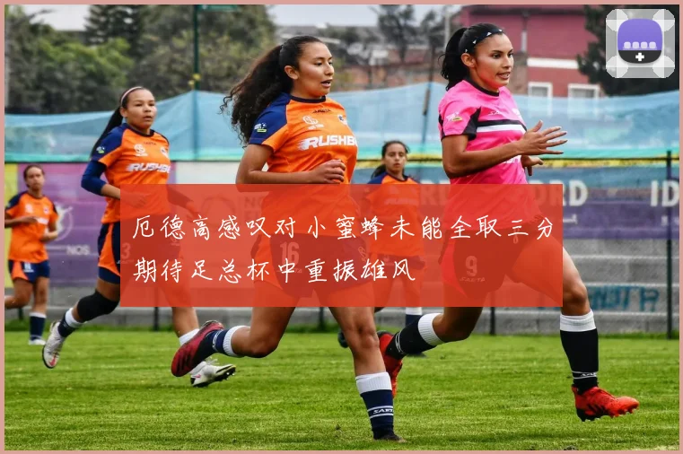 厄德高感叹对小蜜蜂未能全取三分期待足总杯中重振雄风