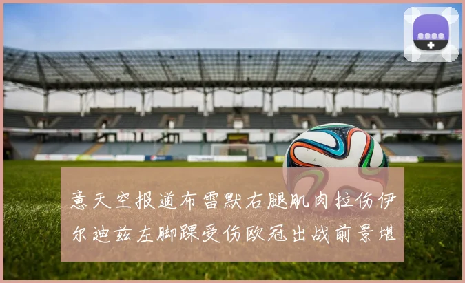 意天空报道布雷默右腿肌肉拉伤伊尔迪兹左脚踝受伤欧冠出战前景堪忧