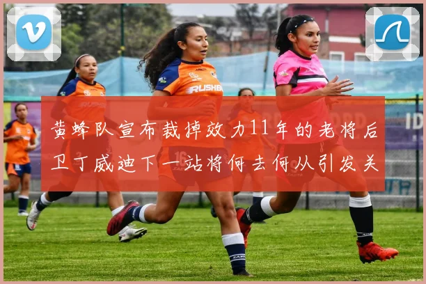 黄蜂队宣布裁掉效力11年的老将后卫丁威迪下一站将何去何从引发关注