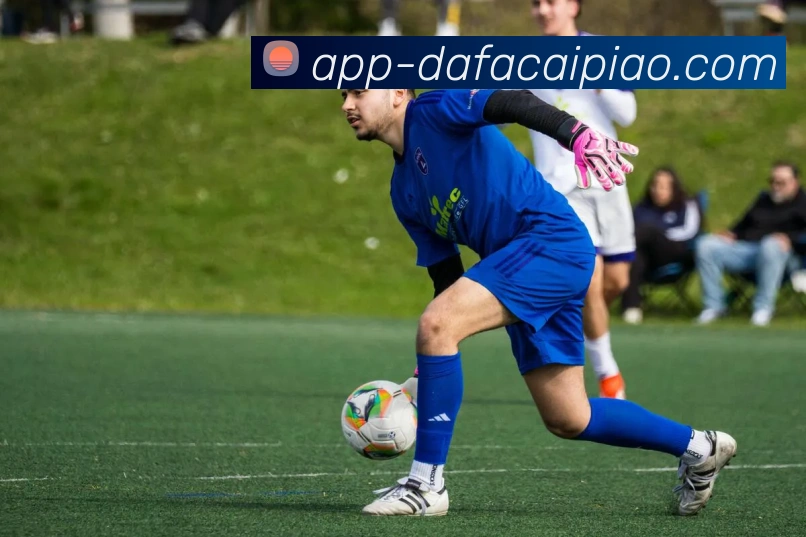 大发彩票服务体系